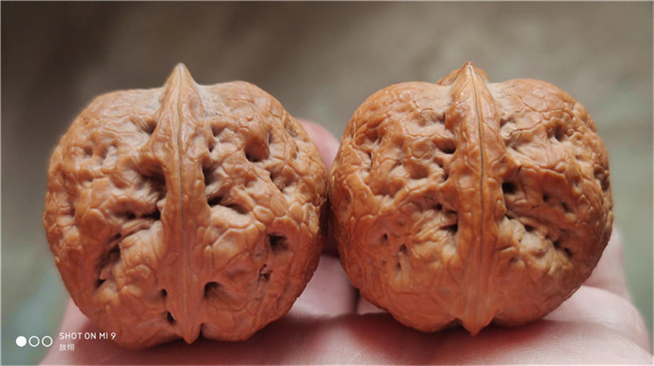 文玩核桃疙瘩包蛤蟆头元宝金蟾佛手玉蟾野生云南铁核桃手把玩手捻