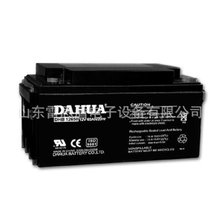 DAHUA蓄电池DHB121000 电动玩具照明 照明 大华电池12V100AH