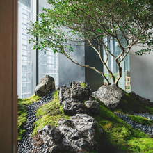 室内造景石枯山水外花园装饰摆放庭院设计假山石头橱窗绿植盆景
