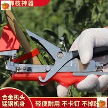 绑枝机圣女果绑带用农用手动条捆扎机番茄葡萄捆扎器蔬果绑扎蔬菜