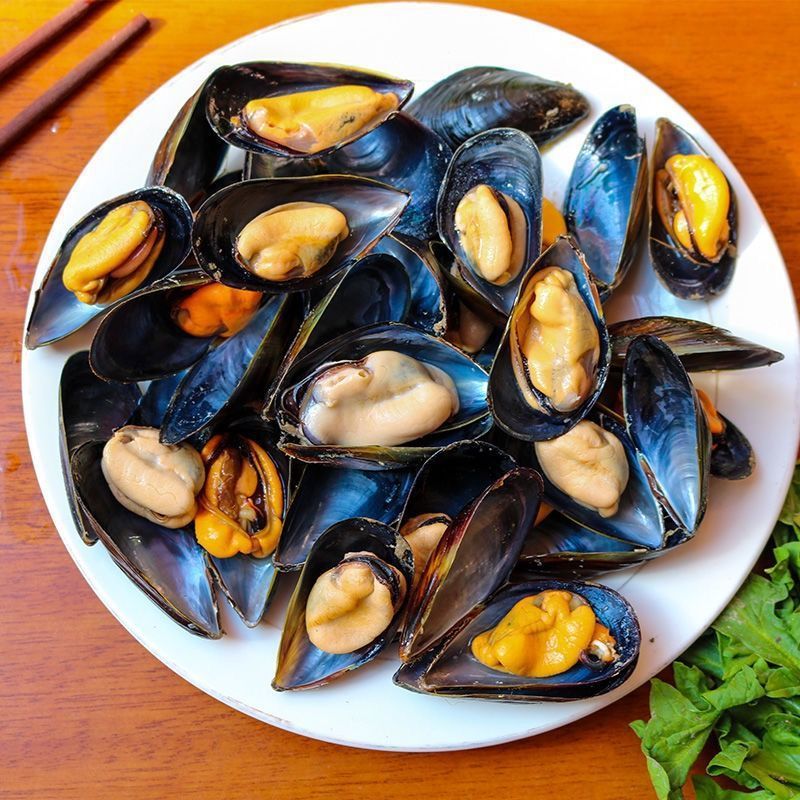 青口贝当天捕捞鲜活海虹6斤整箱贻贝无沙海虹日照海虹贝类水产