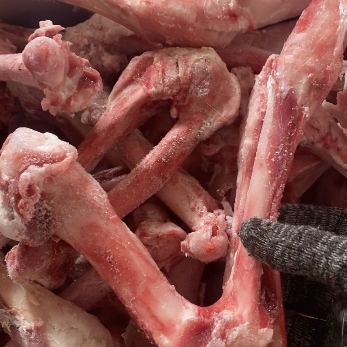 羊棒骨羊骨头新鲜山羊腿骨 羊棒骨 羊筒骨吸骨髓商用羊小腿骨