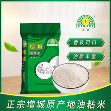 新穗增城油粘米10KG广东大米20斤优质籼米长粒香软米籼米新米