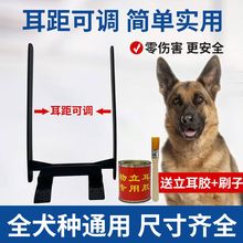 狗狗立耳器德牧柯基杜宾马犬莱州红卡斯罗博美幼犬狗的立耳器胶水