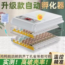 【高孵化率】110V -240V全自动孵蛋器家用小型芦丁鸡孵化机孵化箱