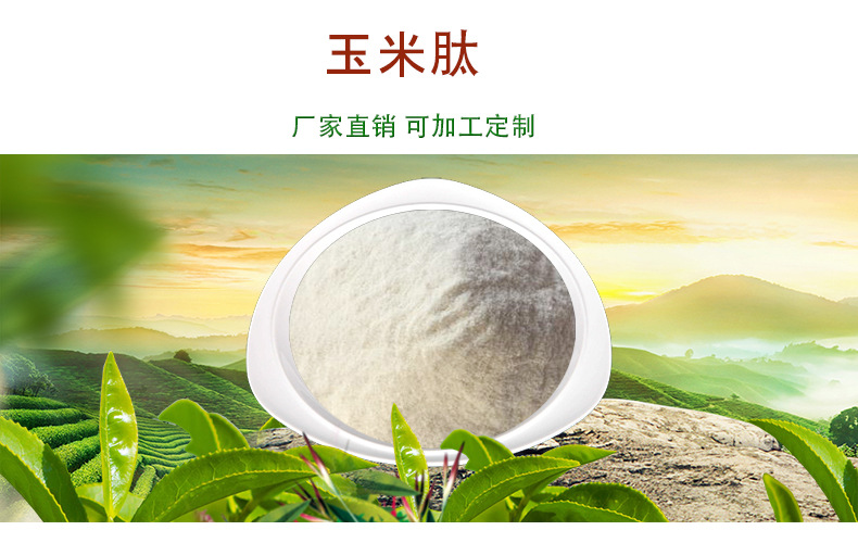 玉米肽 99%玉米低聚肽 小分子苞谷多肽 可水溶现货 玉米肽原料粉