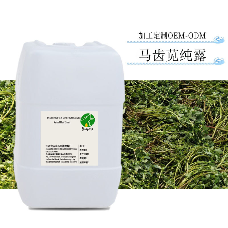 批发 新鲜马齿苋纯露 化妆水面膜原料1kg 起售