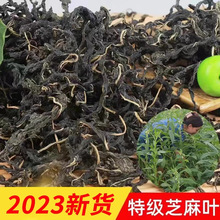 2023新货农家干芝麻叶河南土特产脱水蔬菜自晒干货500克新鲜