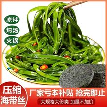 烘干压缩海带丝苗圆饼特产干货零脂下饭菜凉拌即食小包装免洗无沙