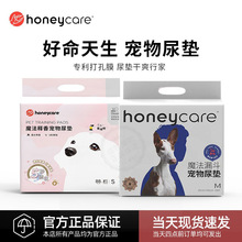 honeycare好命天生魔法漏斗释香宠物尿垫加厚尿片狗狗猫咪尿布