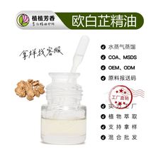 欧白芷精油 Angelica Root 蒸馏提取圆叶当归根油 草本油厂家批发