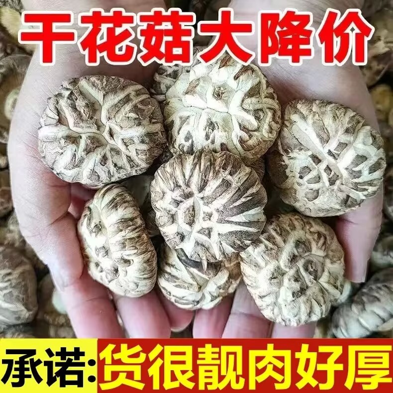 新货厚肉大花菇小花菇500克包邮椴木菌菇蘑菇冬菇大小可选-阿里巴巴