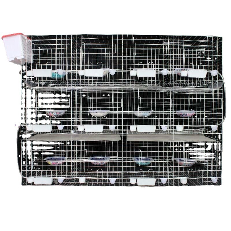 鸽子笼子养殖笼家用配对鸽笼12位种鸽子繁殖笼16位肉鸽养殖笼大纳
