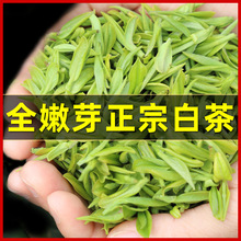 正宗白茶特级嫩芽茶叶高档一等品2023新茶绿茶毛峰批发浓香型礼盒