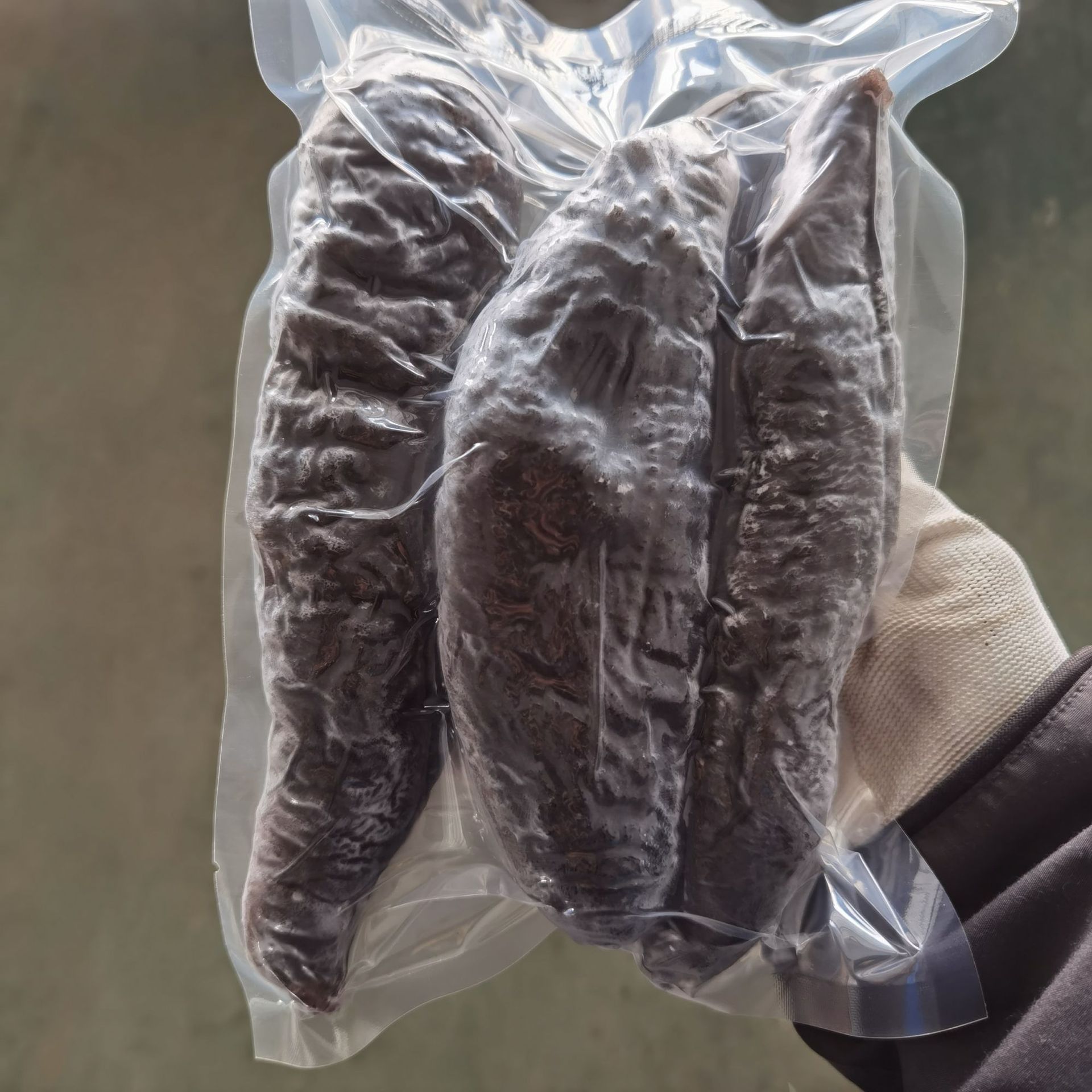 新鲜即食大乌参400g 速冻茄子参 单只海参丝块段酒店海参