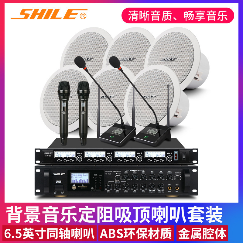 狮乐定阻吸顶天花喇叭bx206会议室音响套装 公共广播背景音乐系统
