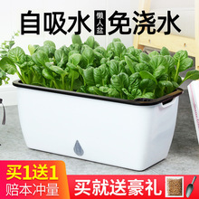 家庭阳台种菜盆种菜神器懒人花盆自动吸水长方形塑料蔬菜种植箱