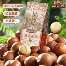 【三只松鼠夏威夷果160g】休闲食品干果零食坚果批发奶油味