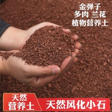 盆景专用风化土金弹子兰花酸性红土保湿透气促生根通用营养土扦插