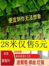 假绿叶仿真藤条葡萄叶树叶塑料藤蔓室内吊顶装饰花藤树藤绿植落地