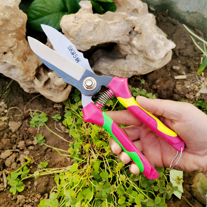 农用工具蒜剪子热销黄红双色柄抛光锰钢耐用锋利大蒜剪刀