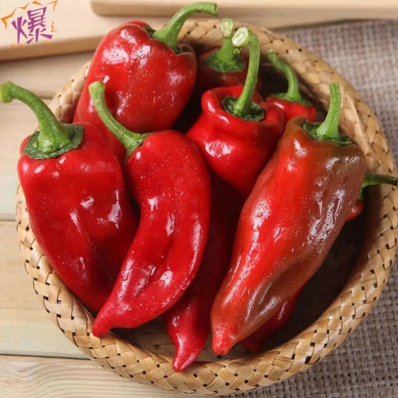 泡椒红辣椒新鲜微辣灯笼椒现摘鲜辣椒酱红辣椒批发红尖椒泡椒5斤