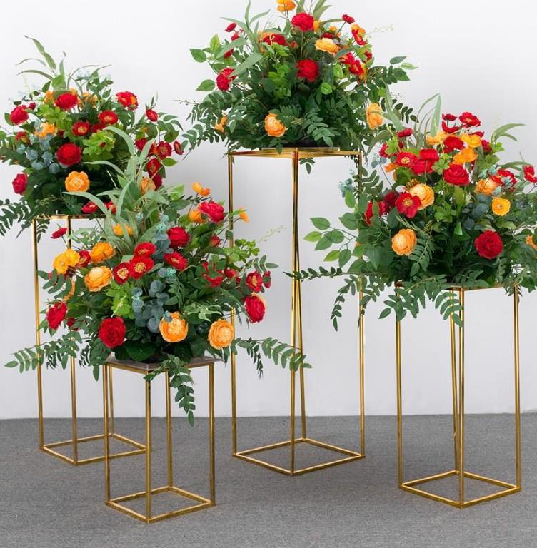 【花柱草】-花柱草厂家,品牌,图片,热帖-阿里巴巴