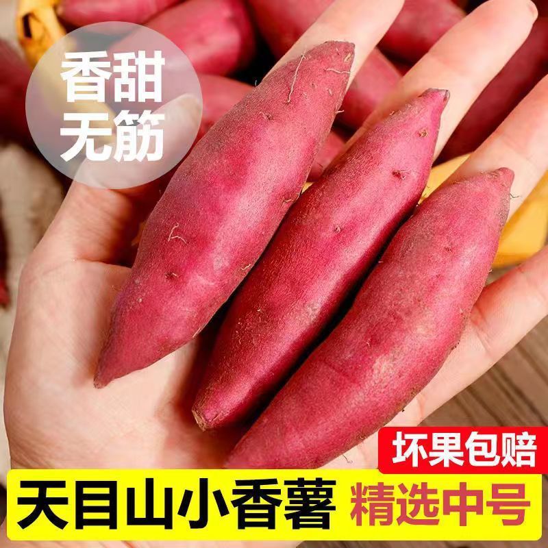 66成交21套云南西瓜红蜜薯新鲜5/9斤板栗红薯农家自种红心地瓜糖心烤