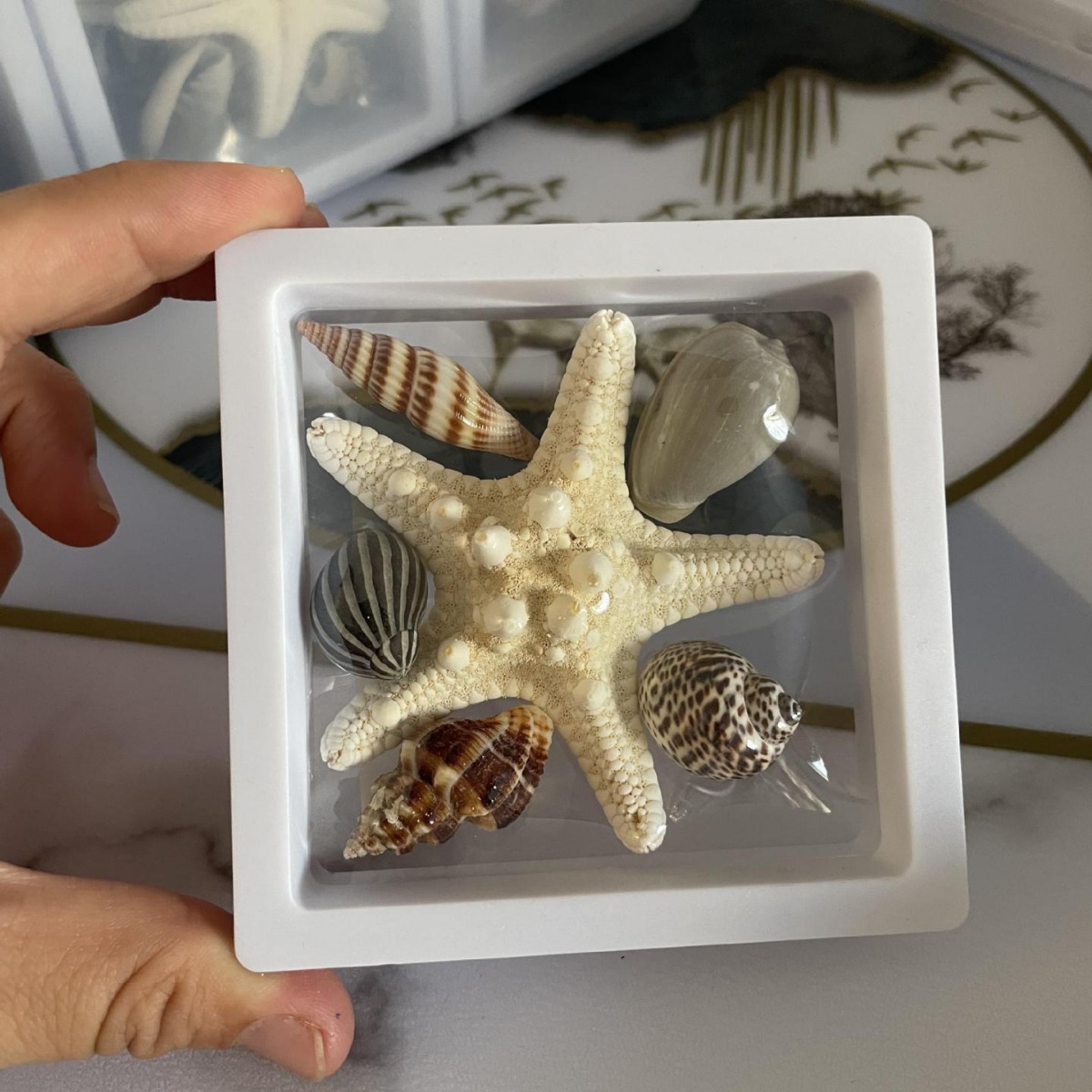 威海纪念品伴手礼送闺蜜女朋友海星海螺礼盒11×11批发-阿里巴巴
