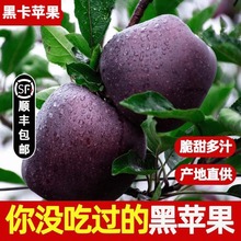 顺丰包邮5斤精品 甘肃黑卡苹果当季新鲜水果整箱黑钻平果现摘现发