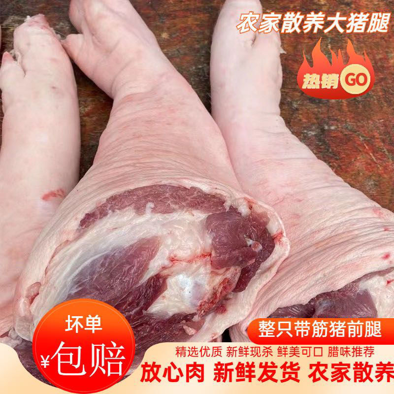 农家散养整只土猪腿猪大腿猪蹄猪手蹄膀生鲜冻猪蹄肘子猪脚猪爪