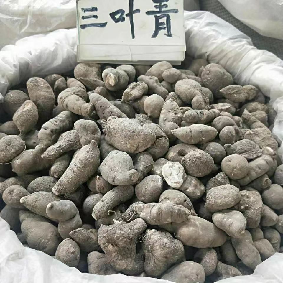 当季新货精选三叶青金线吊葫芦小扁藤批发包邮500克-阿里巴巴