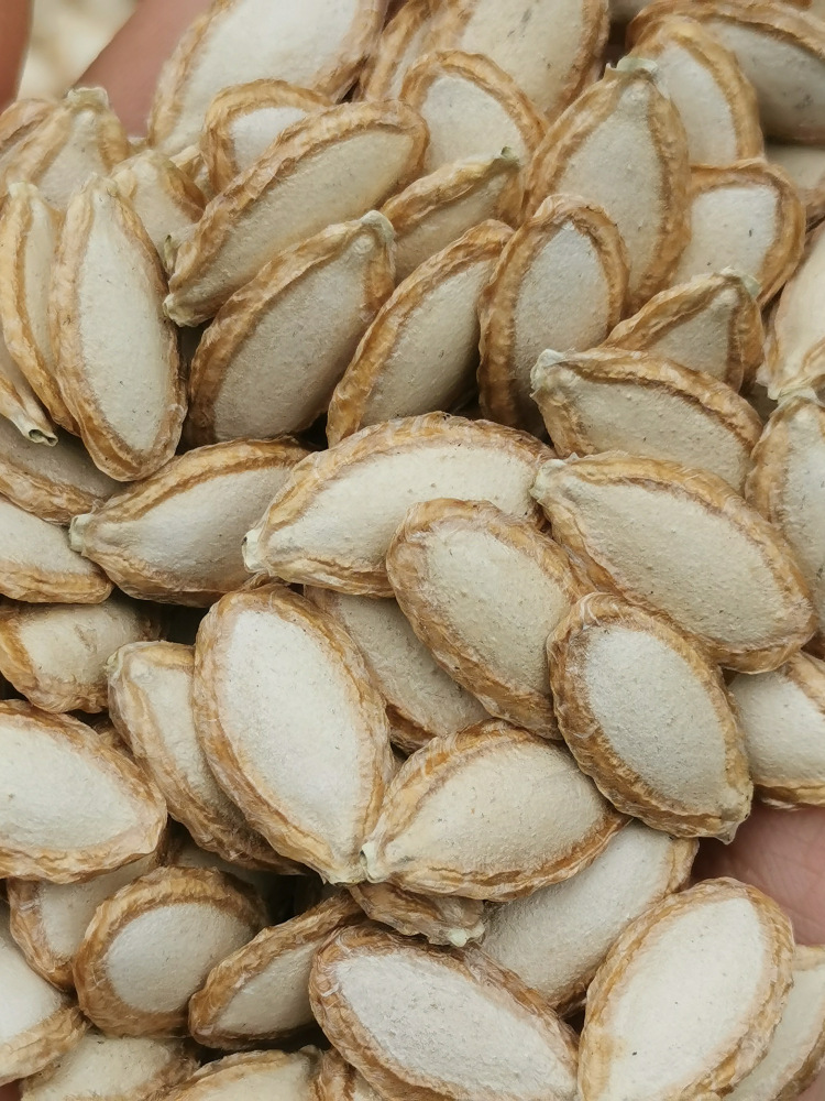 新货农家毛边生南瓜子土南瓜籽农家自种老品种带壳5斤重庆