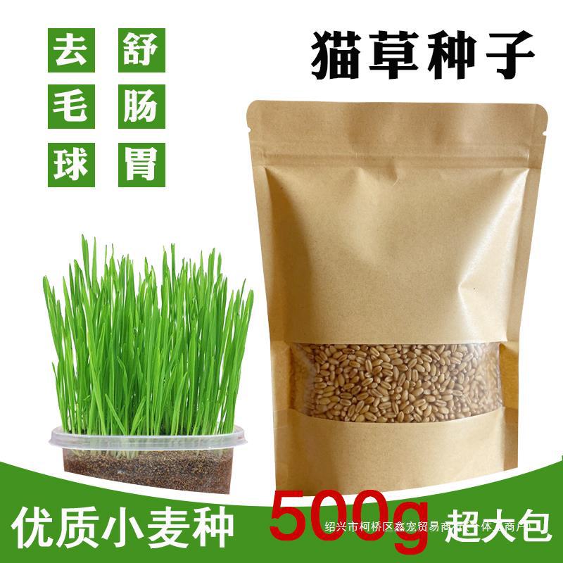 猫草种子一斤装一袋牛皮纸小麦无土水培种植化毛去毛球助消化草籽