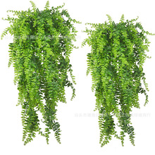 亚马逊仿真壁挂波斯草藤条人造悬挂蕨类植物藤蔓悬挂绿色植物5叉
