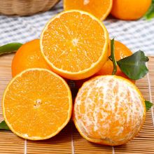 四川爱媛38号果冻橙新鲜柑橘水果脐橙榨汁手剥橙包邮一件代发