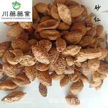 砂仁500g【川药中药材】量大优惠 中药材批发供应 砂仁