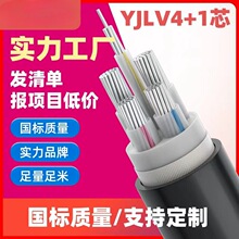 铝芯电缆YILV/YILJ22 3+1 3+2 4芯 4+1  25 35 50 70 95平方电缆