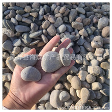 鹅卵石5-8变压电站铺地铺路庭院彩色石头鱼缸装饰石子鹅卵石