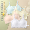 two or three stage Developmental stage girl Underwear No trace Borneol ventilation girl Bras Middle and high school pupil Emptied two or three stage Developmental stage girl Underwear No trace Borneol ventilation girl Bras Middle and high school pupil Emptied