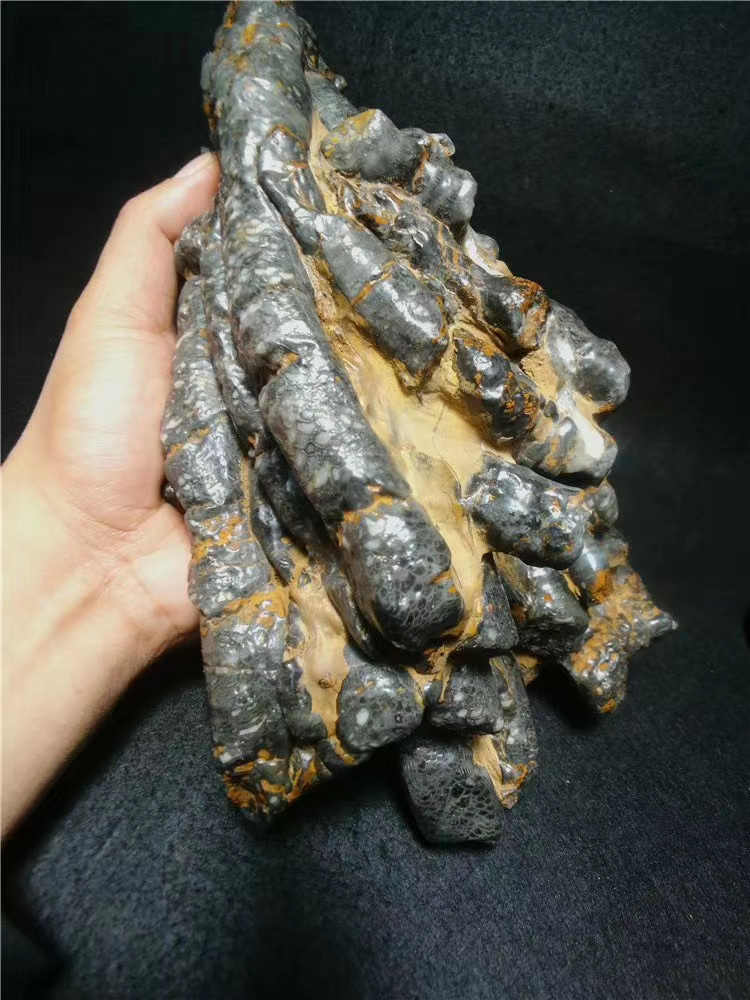 a环节动物玉化石摆件奇石鳞片纹玛瑙原石奇石原石玉石