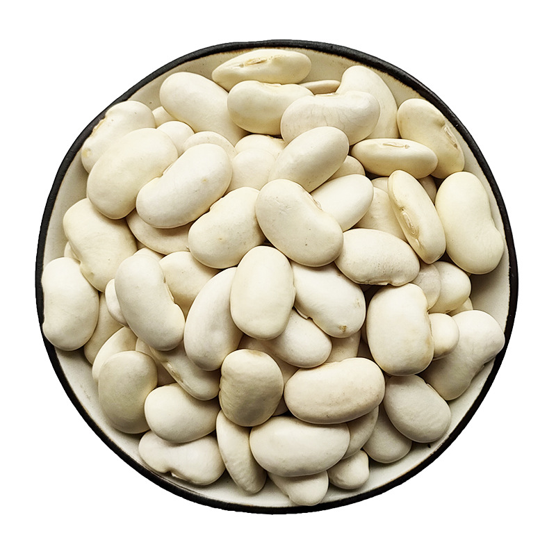 大白芸豆500g云南香格里拉新货大白豆白芸豆雪豆四季豆五谷杂粮