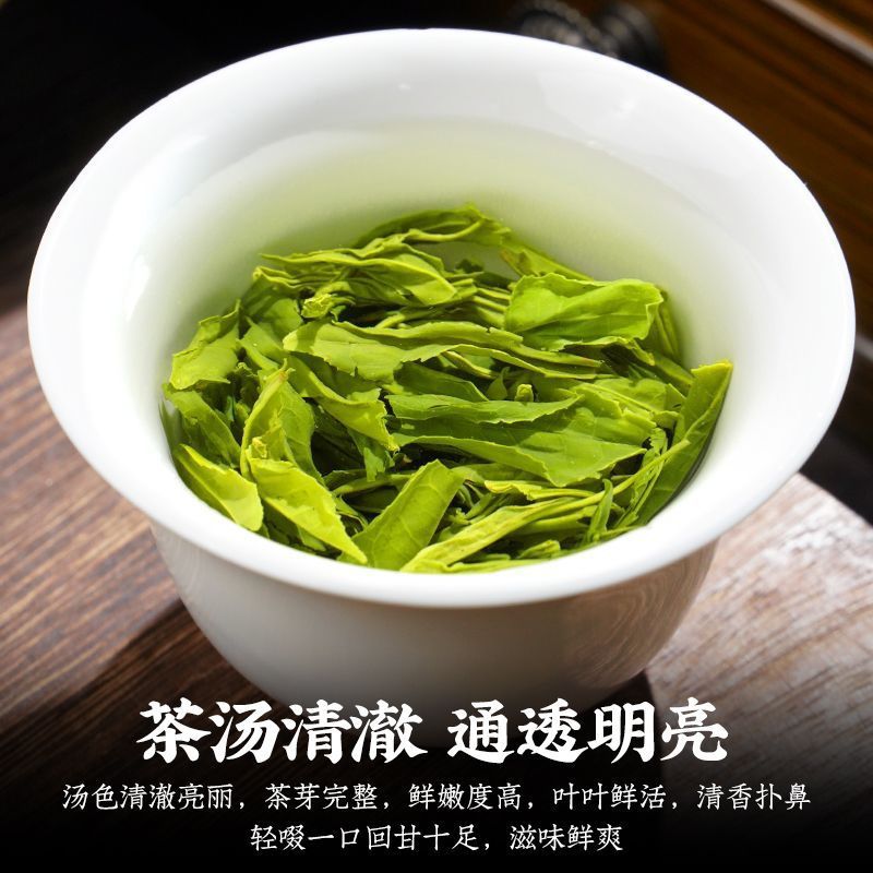 松阳香茶2023年新茶浙江丽水茶叶一斤500克浓香耐泡绿茶散装春茶