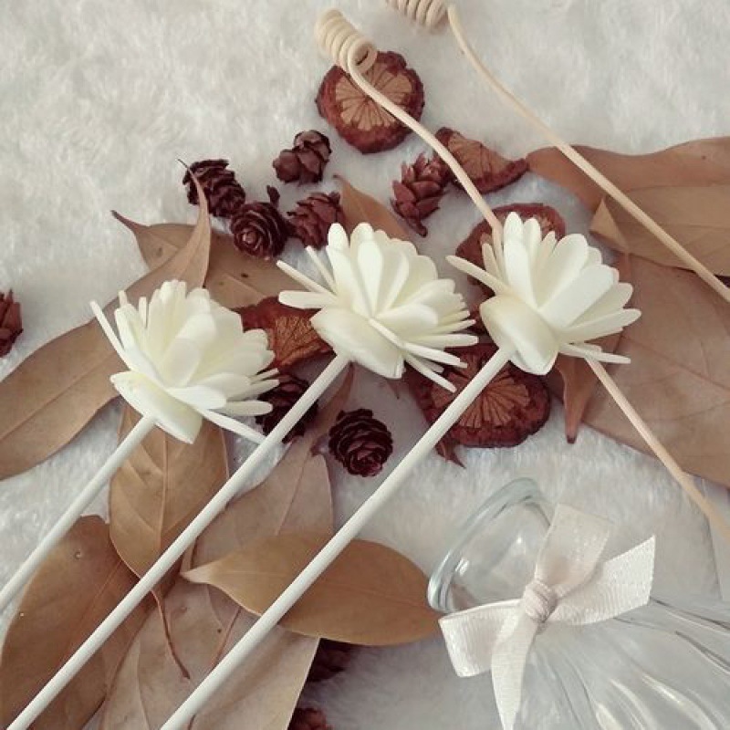 扩香棒小红书自制夏日驱蚊挥发香薰芯加长无火香薰藤条跨境独立站