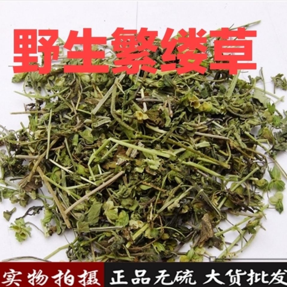 繁缕草 新鲜干货繁缕茶繁缕草 茶鹅肠菜 乌云草 鸡草-阿里巴巴