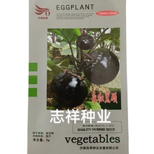 济南茄果永红黑硕茄子种子杂交紫黑圆茄品质好耐病肉淡绿5克大田