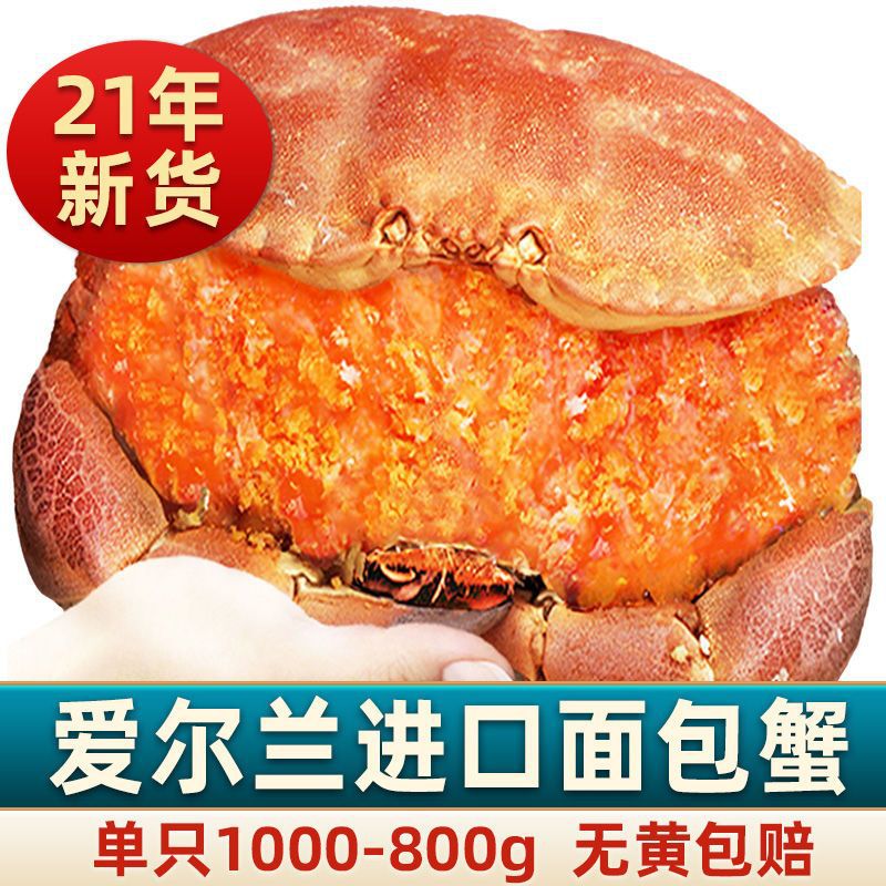 【满黄大蟹】首鲜道面包蟹鲜活冷冻海鲜水产蟹800-1000g/只-阿里巴巴