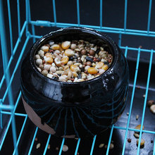 鸽子陶瓷食罐陶瓷鸟食盒喂食鸟碗水槽信鸽鸽具民宿家用小鸟阳台