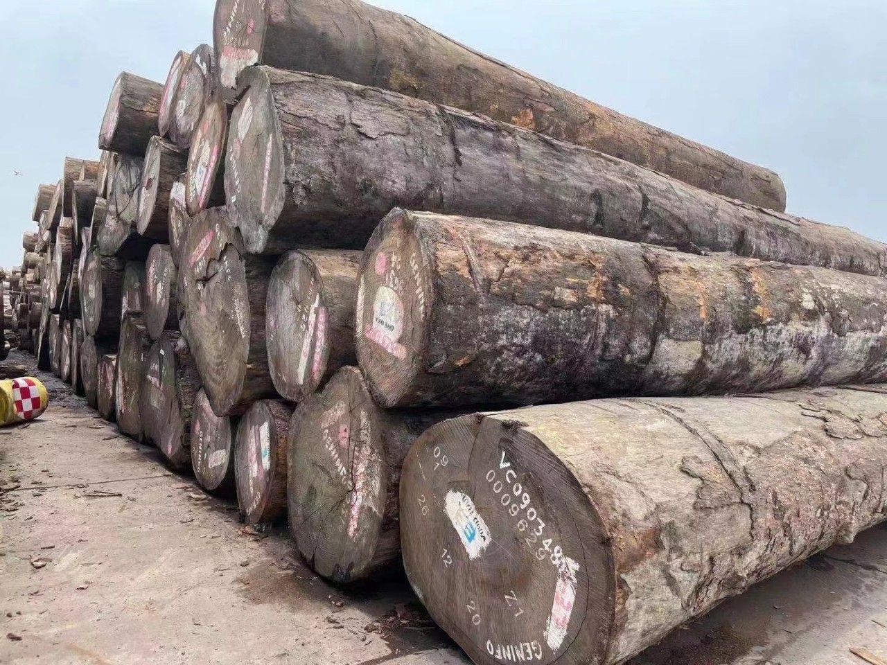 非洲大径翼红铁木金莲木 塔利原木 菜板料园林古建防腐木料