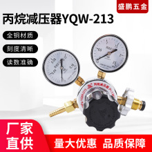 丙烷减压器.YQW-213  全钢材质调节器带双表气体减压阀调节高压力